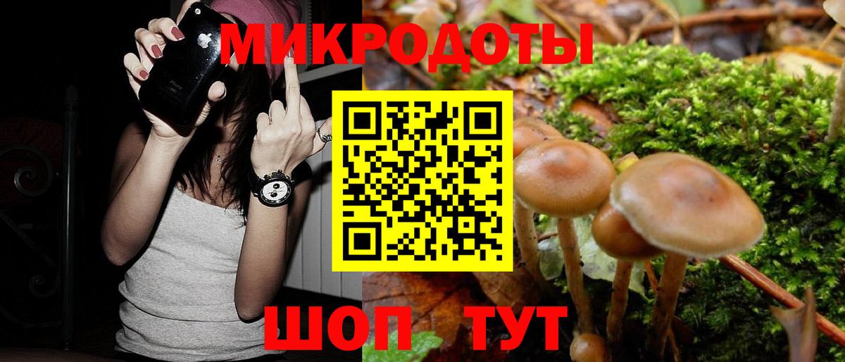 Галлюциногенные грибы Magic Shrooms Симферополь